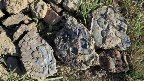 Excavacina arqueolgica en una villa romana en Coea, Castro de Rei