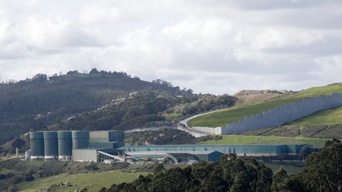 Imagen de archivo de la planta de Nostián
