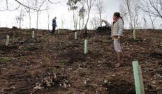La edila de Medio Ambiente supevis� las plantaciones.