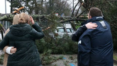 La cada de un gran rbol en el Campus Vida afect a un coche