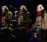 Concierto reciente de De Vacas, en Lal�n