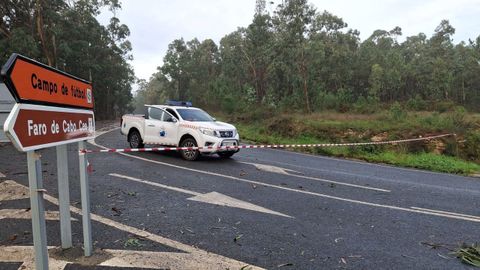 �rbol ca�do en la carretera de acceso a cabo Cee, Corcubi�n.
