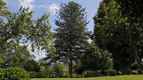 El jardín acoger árboles de muy diversos tipos