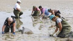 Marisqueo en el Anll�ns, en imagen de archivo