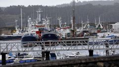 La pandemia afect� a todos los eslabones de la pesca, pero la mayor�a resistieron para suministrar alimentos, como los del puerto de Celeiro, en una foto de archivo