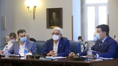 Grupo del PP en la Diputaci�n, con su portavoz, Javier Casti�eira, a la derecha