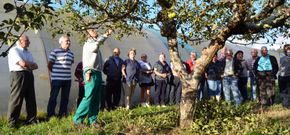 Jes�s Recarey imparti� el curso organizado por la asociaci�n vecinal de Pereiri�a. 