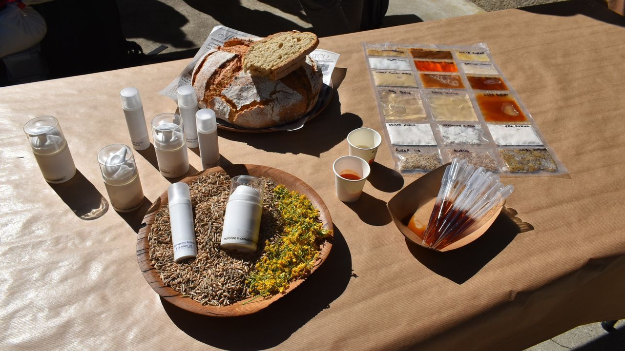 Objetivo conseguido: la avea moura resurge en salsas, panes, geles y cremas