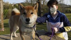 Hera, una de las perras que result� herida tras comer un cebo repleto de alfileres