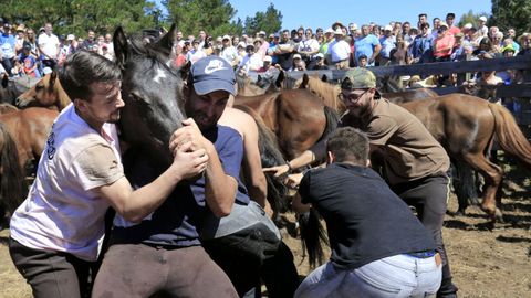 Las  bestas  no se lo pusieron fcil a los  aloitadores 