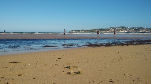 Basura arrastrada por la marea a la playa de San Lorenzo de Gij�n.Restos de una botella de pl�stico, en primer t�rmino