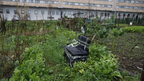 Huerta urbana municipal de Pontepedriña