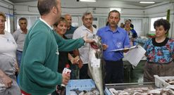 La mayor parte de los barcos de la zona, como en Malpica, siguen despachados para otras artes. 