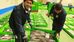 Operarios con cajas de merluza de volanta subastadas el 5 de marzo del 2026 en la lonja de Celeiro.