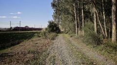 La antigua v�a ferroviaria que se acondicionar�a discurre paralela por algunos tramos a la actual