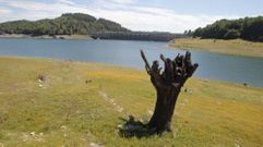 El embalse de Vilasouto est destinado a surtir de agua para el regado