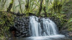 Im�genes de la ruta de Penacova