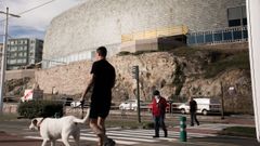 Arreglos en la fachada de la Domus