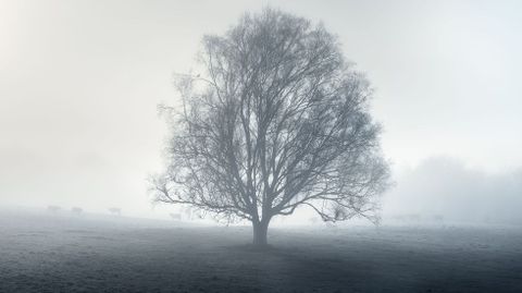 La foto ganadora del concurso convocado por Segredos de Pantn