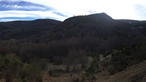 Hayedo de Busmayor. Vista en el invierno