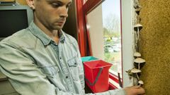 Las setas del Concepci�n Arenal