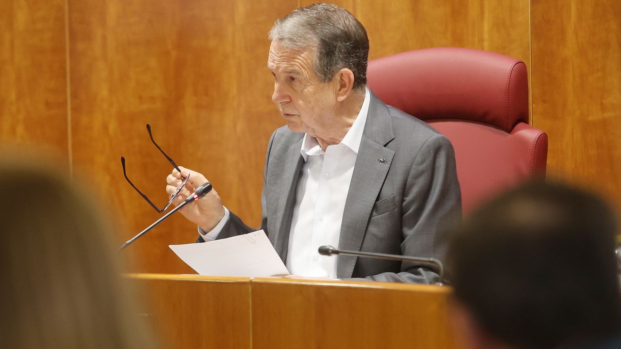 El Concello de Vigo reclama más dotaciones y accesos para las 1.500 familias previstas en Santa Cristina