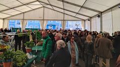 Feira do Grelo de As Pontes