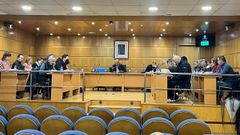 Pleno del Concello de  O Porri�o