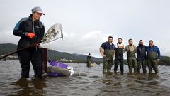 �Mira aqu� las im�genes de las jornadas del exaltaci�n del berberecho de Noia!