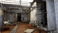 El matadero municipal de Viveiro presenta un estado lamentable con cuantiosos da�os