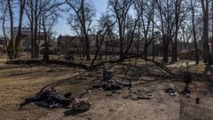 Dos cuerpos yacen en un parque en Irp�n, primera l�nea del frente norte en direcci�n a Kiev.