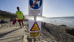 Un socorrista en Razo el a�o pasado