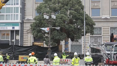 Traslado del metrosidero del Cant�n Grande