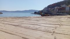 Trabajos de limpieza de playas en Muros

