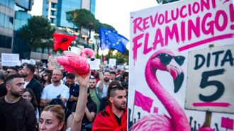 Las protestas se denominan Revoluci�n Flamingo