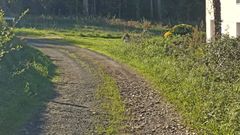 Camino de Fux�n, en O Seixo, Ortigueira
