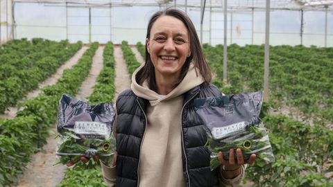 Marta Novoa&nbsp;en su invernadero de Mani&ntilde;os, donde produce unas veinte toneladas de Pemento do Couto cada temporada