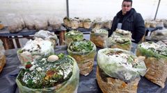 Instalaci�ns dunha empresa galega de biotecnolox�a aplicada ao cultivo sostible de cogomelos