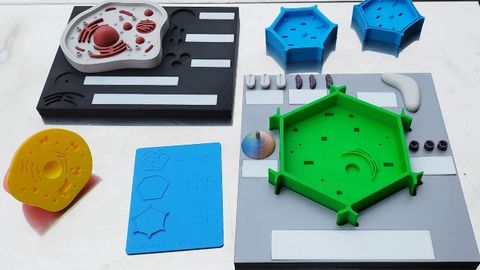 C�lulas en 3D e con sistema braille dese�adas no CIFP Polit�cnico de Lugo para persoas con discapacidades visuais