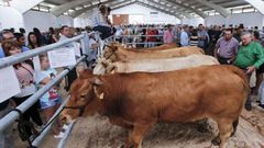 Pedrafita celebra su  feira do ano 