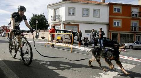 Acade se impuso en la prueba local de bikejoring y canicr�s.
