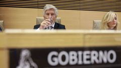 Fernando Grande-Marlaska, en la comisi�n de Interior del Congreso.