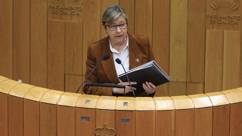 La conselleira do Mar, Rosa Quintana, durante su intervencin en el Parlamento.