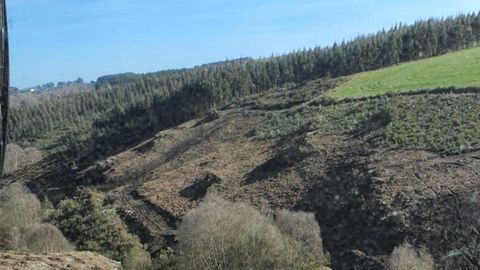 Terreno perteneciente al monte comunal de Vilaxuste.