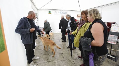Feria de ganado ExpoLugo, junto a O Vello Cárcere