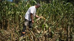 Juan Andr�s Ageitos, afectado por da�os del jabal�