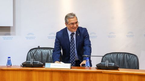 Luis Menor, en su comparecencia en el Parlamento de Galicia.