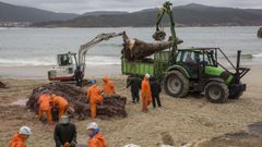 Un grupo de trabajadores retiran de la playa los restos de la ballena ayudados por una gr�a