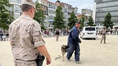 Exhibici�n de la unidad canina del Tercio Norte de Ferrol en la plaza de Armas