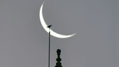 A imaxe gaadora (mstrase acurtada, debido ao formato vertical)